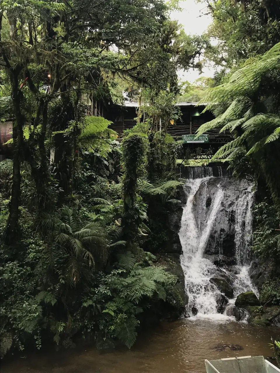 Cachoeira ao lado do restaurante, com a placa do Paraíso das Trutas ao fundo, entre samambaias