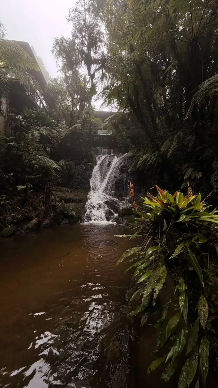 Cachoeira do Paraíso das Trutas, com o restaurante ao fundo