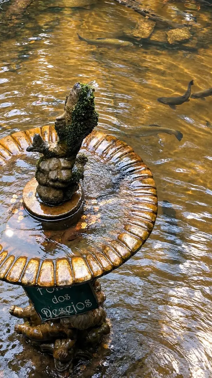 Fonte dos Desejos com trutas nadando ao redor