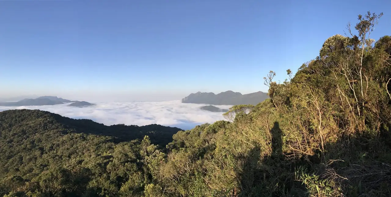 Mar de nuvens entre montanhas cobertas de mata, visto do alto