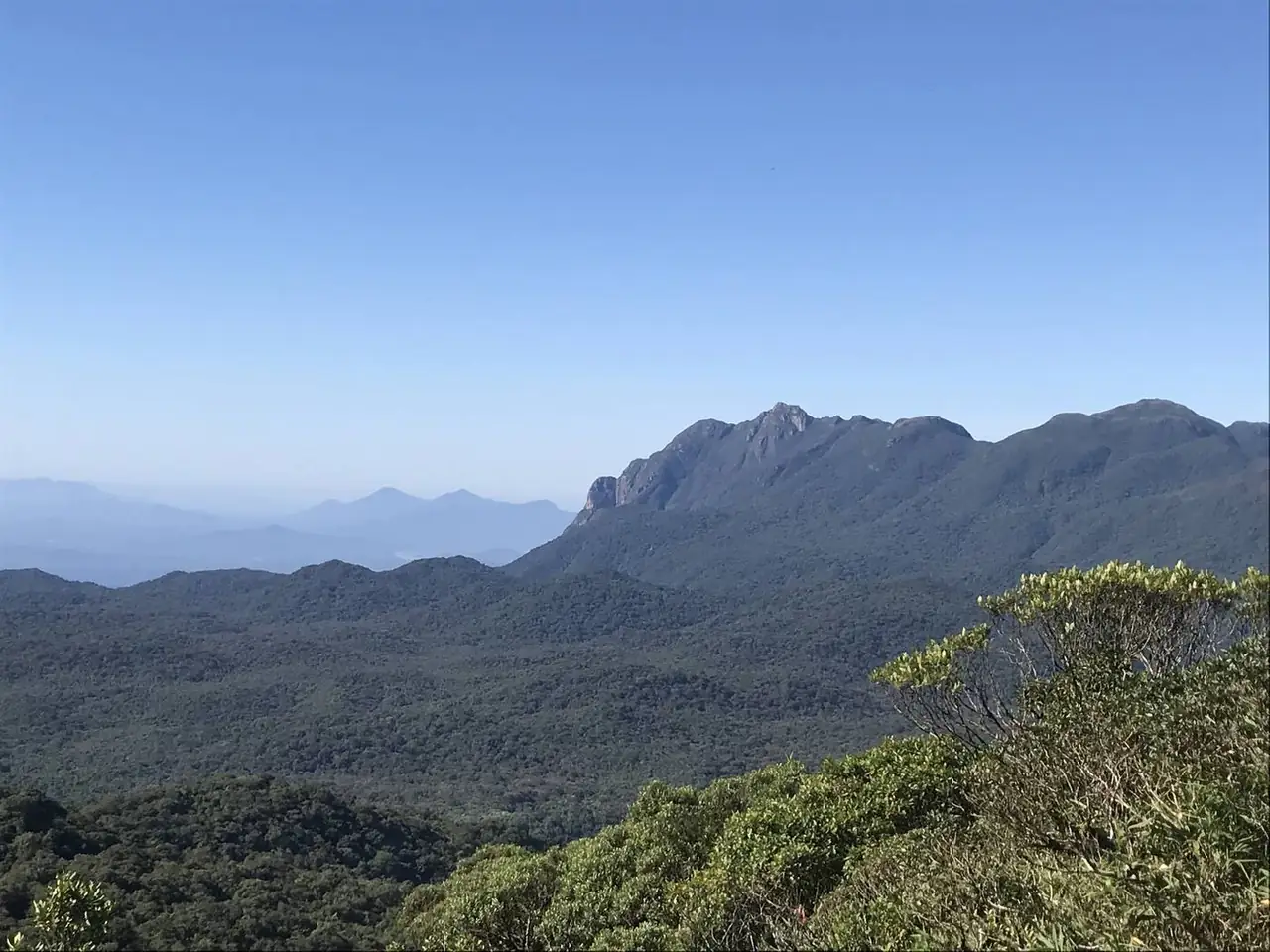 Pico do Marumbi entre a mata, sob céu azul, visto do alto