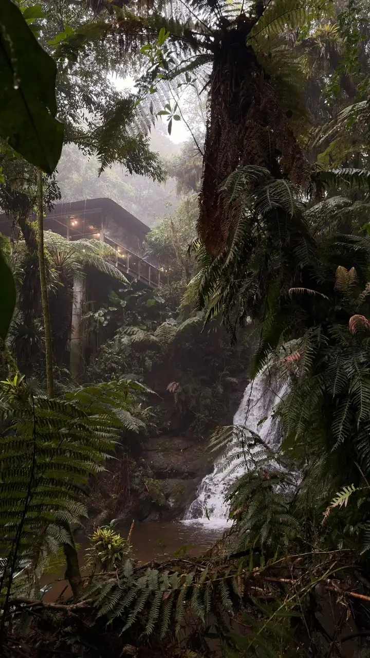 Restaurante iluminado entre a neblina e as samambaias, acima da cachoeira