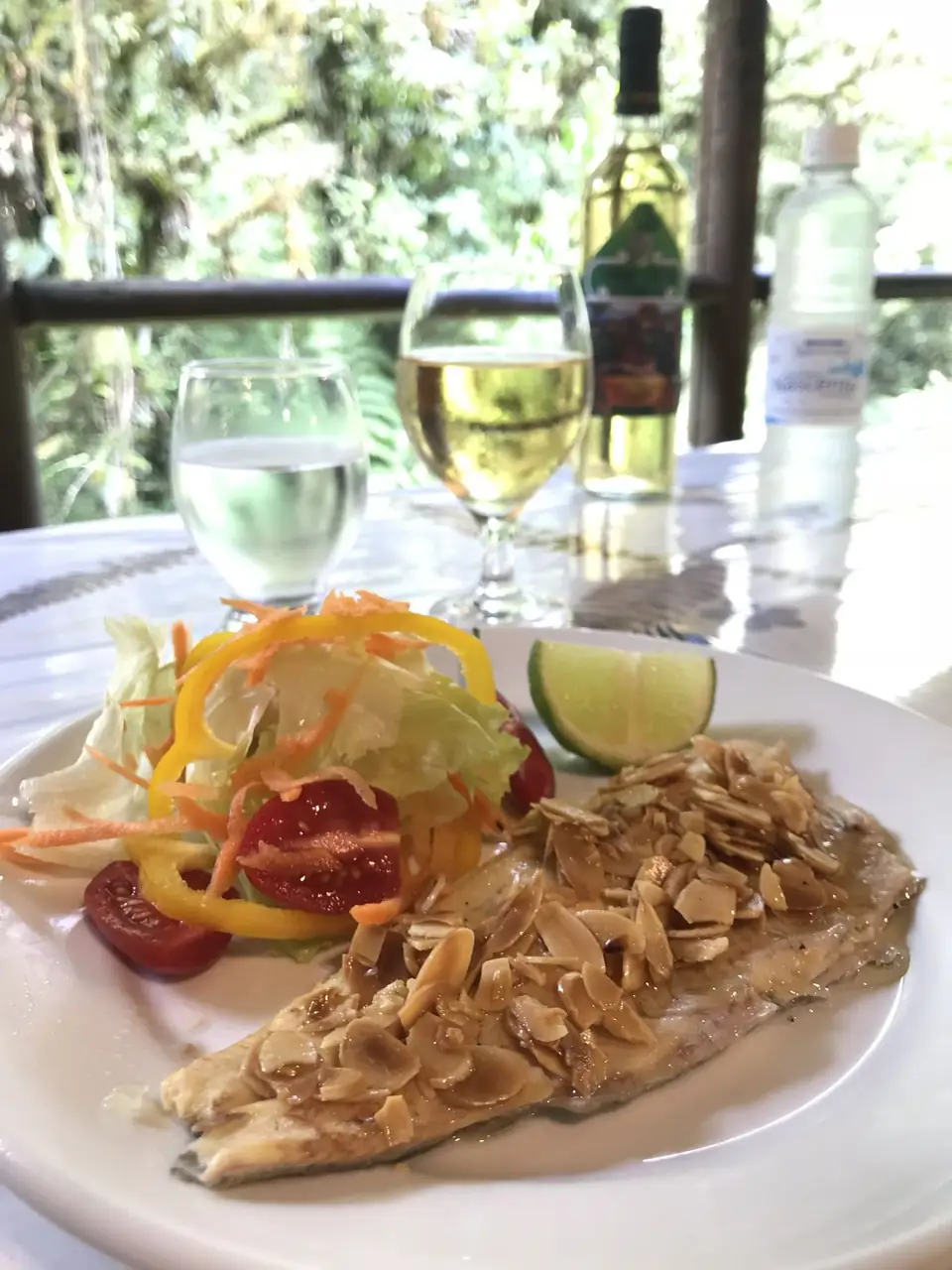 Truta com amêndoas laminadas e salada, com taça de vinho branco e água sobre a mesa, na varanda do restaurante